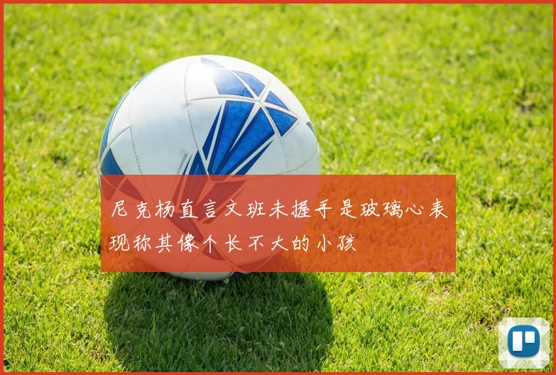 尼克杨直言文班未握手是玻璃心表现称其像个长不大的小孩